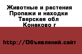 Животные и растения Пропажи и находки. Тверская обл.,Конаково г.